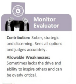 Monitor-Evaluator Belbin