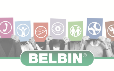 The Wonders of Belbin Team Roles: Behaviour Profiling
