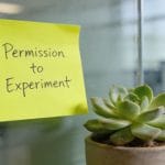 Permission to Play is a Leadership Skill: A Guide for Teams