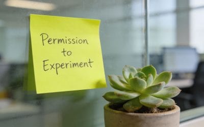 Permission to Play is a Leadership Skill: A Guide for Teams